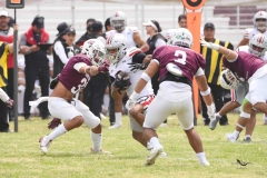 burros-blancos-linces-uvm-onefa-2025-158