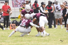 burros-blancos-linces-uvm-onefa-2025-159