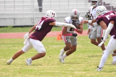 burros-blancos-linces-uvm-onefa-2025-160