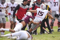 burros-blancos-linces-uvm-onefa-2025-178