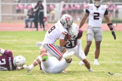 burros-blancos-linces-uvm-onefa-2025-183