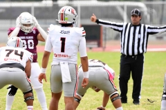 burros-blancos-linces-uvm-onefa-2025-184