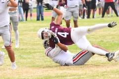 burros-blancos-linces-uvm-onefa-2025-191