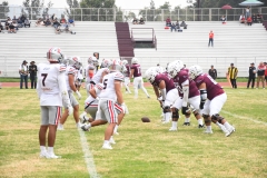 burros-blancos-linces-uvm-onefa-2025-193
