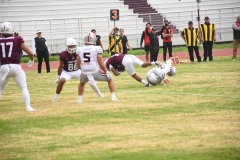 burros-blancos-linces-uvm-onefa-2025-195