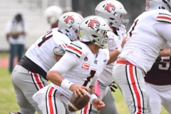 burros-blancos-linces-uvm-onefa-2025-199