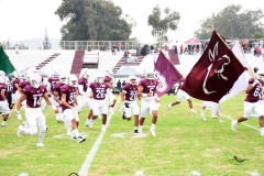 burros-blancos-linces-uvm-onefa-2025-2