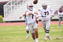 burros-blancos-linces-uvm-onefa-2025-20