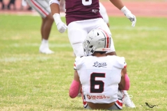 burros-blancos-linces-uvm-onefa-2025-205