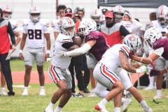 burros-blancos-linces-uvm-onefa-2025-207