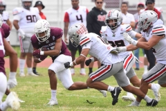 burros-blancos-linces-uvm-onefa-2025-216