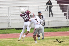burros-blancos-linces-uvm-onefa-2025-225