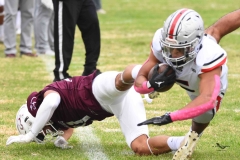 burros-blancos-linces-uvm-onefa-2025-229