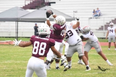 burros-blancos-linces-uvm-onefa-2025-235