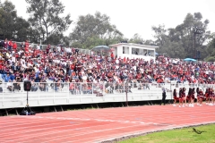 burros-blancos-linces-uvm-onefa-2025-242