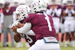 burros-blancos-linces-uvm-onefa-2025-27
