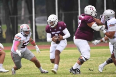 burros-blancos-linces-uvm-onefa-2025-32