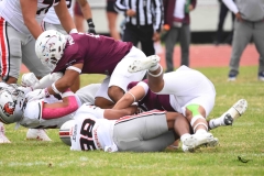 burros-blancos-linces-uvm-onefa-2025-40