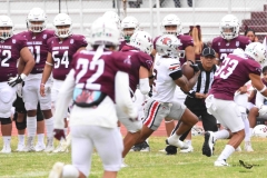 burros-blancos-linces-uvm-onefa-2025-43