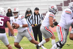 burros-blancos-linces-uvm-onefa-2025-45