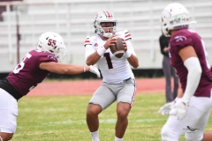 burros-blancos-linces-uvm-onefa-2025-46