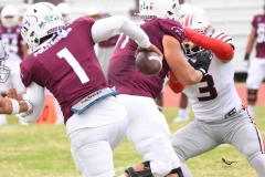 burros-blancos-linces-uvm-onefa-2025-60