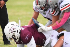 burros-blancos-linces-uvm-onefa-2025-61
