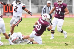 burros-blancos-linces-uvm-onefa-2025-66