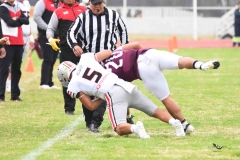 burros-blancos-linces-uvm-onefa-2025-68