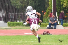 burros-blancos-linces-uvm-onefa-2025-80