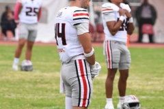 burros-blancos-linces-uvm-onefa-2025-9