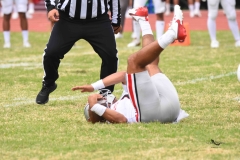 burros-blancos-linces-uvm-onefa-2025-91