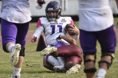 burros-blancos-aguilas-uach-2024-onefa-118