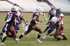 burros-blancos-aguilas-uach-2024-onefa-125