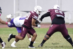 burros-blancos-aguilas-uach-2024-onefa-19