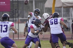 burros-blancos-aguilas-uach-2024-onefa-3
