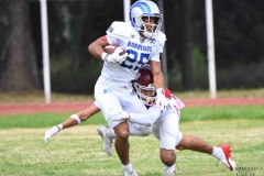 borregos-ccm-aguilas-blancas-onefa-2025-107