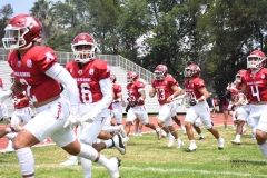 borregos-ccm-aguilas-blancas-onefa-2025-2