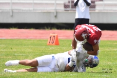 borregos-ccm-aguilas-blancas-onefa-2025-20