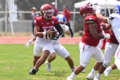 borregos-ccm-aguilas-blancas-onefa-2025-22