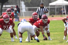 borregos-ccm-aguilas-blancas-onefa-2025-24