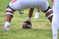 borregos-ccm-aguilas-blancas-onefa-2025-29