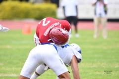 borregos-ccm-aguilas-blancas-onefa-2025-36