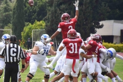 borregos-ccm-aguilas-blancas-onefa-2025-68