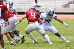 borregos-ccm-aguilas-blancas-onefa-2025-69