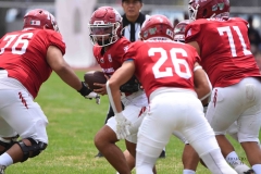 borregos-ccm-aguilas-blancas-onefa-2025-71