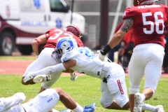 borregos-ccm-aguilas-blancas-onefa-2025-84