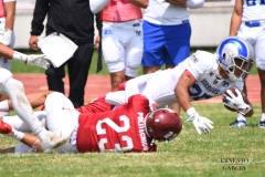 borregos-ccm-aguilas-blancas-onefa-2025-90