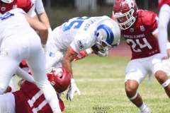 borregos-ccm-aguilas-blancas-onefa-2025-91