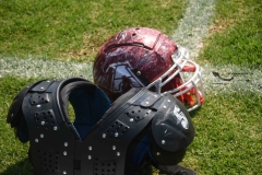 aguilas-blancas-cheyennes-intermedia-2024-onefa-1